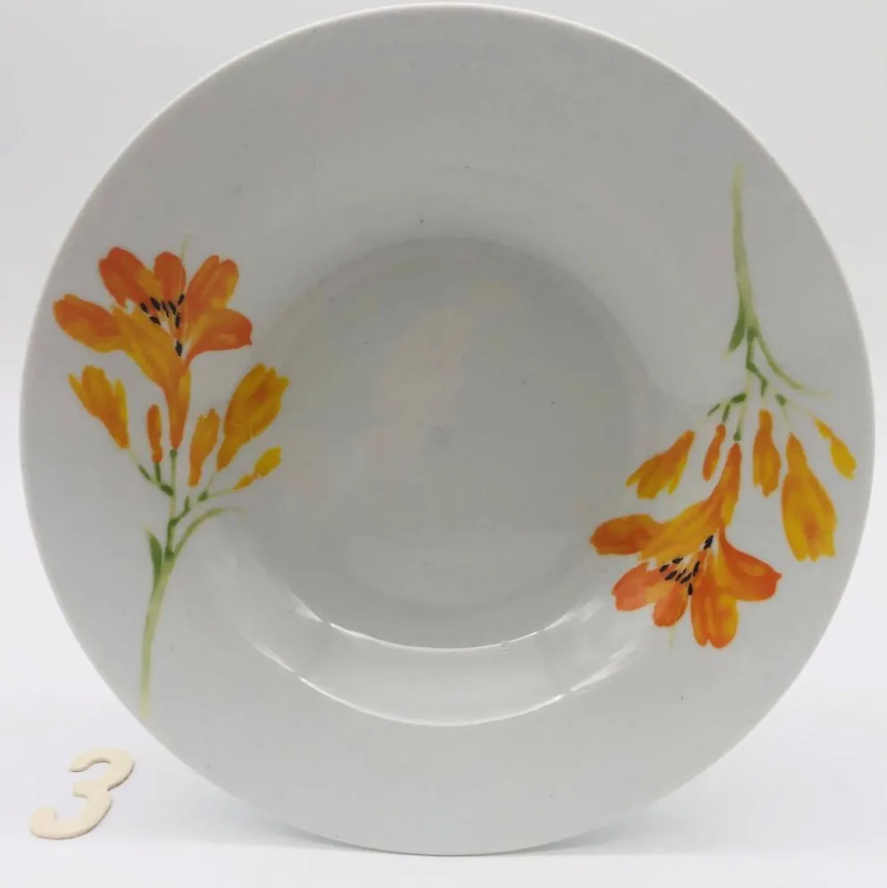 6 assiettes creuses en porcelaine « chriss g. collection »