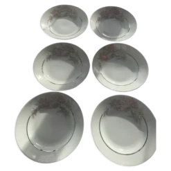 6 assiettes creuses en porcelaine motif pivoines art déco