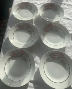 6 assiettes creuses en porcelaine motif pivoines art déco