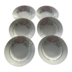 6 assiettes creuses en porcelaine motif pivoines art déco