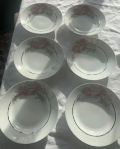 6 assiettes creuses en porcelaine motif pivoines art déco