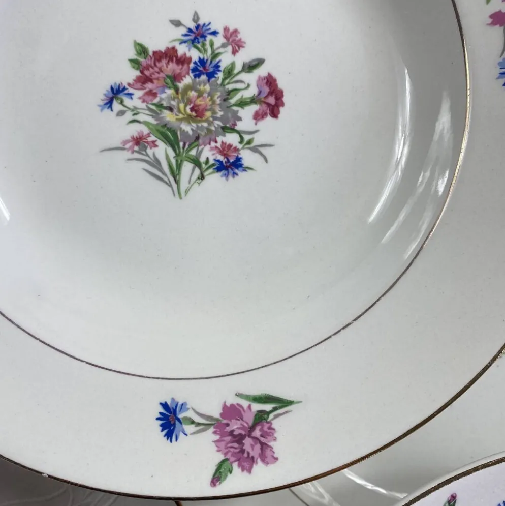 6 assiettes creuses faïence ancienne Sarreguemines modèle Cibon Nice