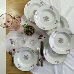 6 assiettes creuses faïence ancienne Sarreguemines modèle Cibon Nice