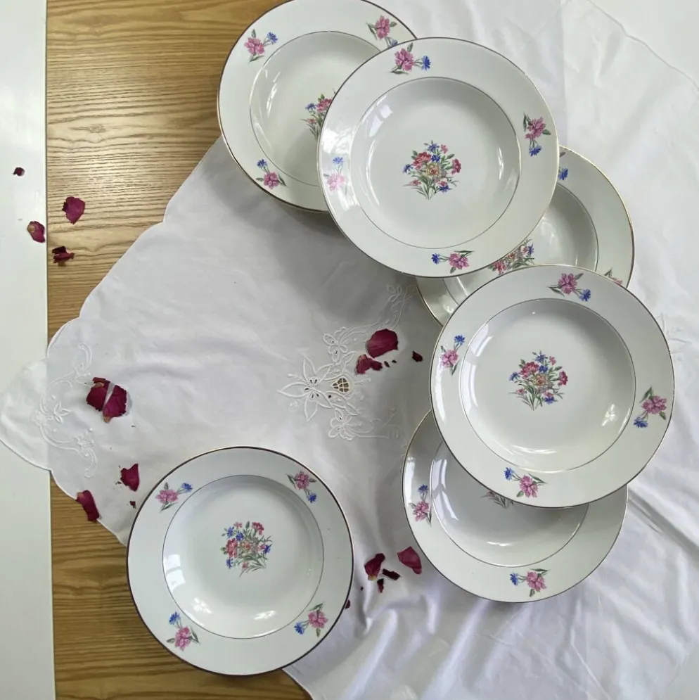 6 assiettes creuses faïence ancienne Sarreguemines modèle Cibon Nice