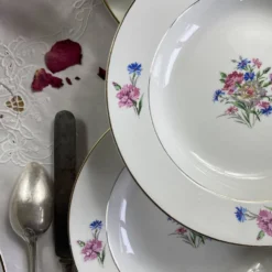 6 assiettes creuses faïence ancienne Sarreguemines modèle Cibon Nice