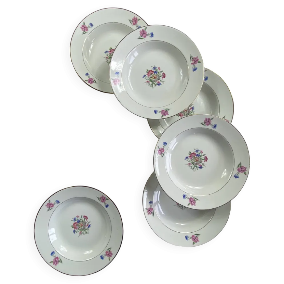 6 assiettes creuses faïence ancienne Sarreguemines modèle Cibon Nice