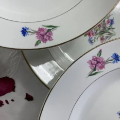 6 assiettes creuses faïence ancienne Sarreguemines modèle Cibon Nice