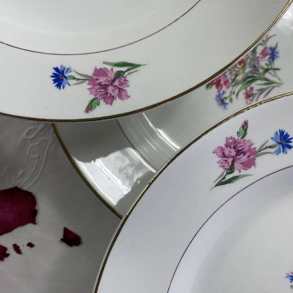 6 assiettes creuses faïence ancienne Sarreguemines modèle Cibon Nice