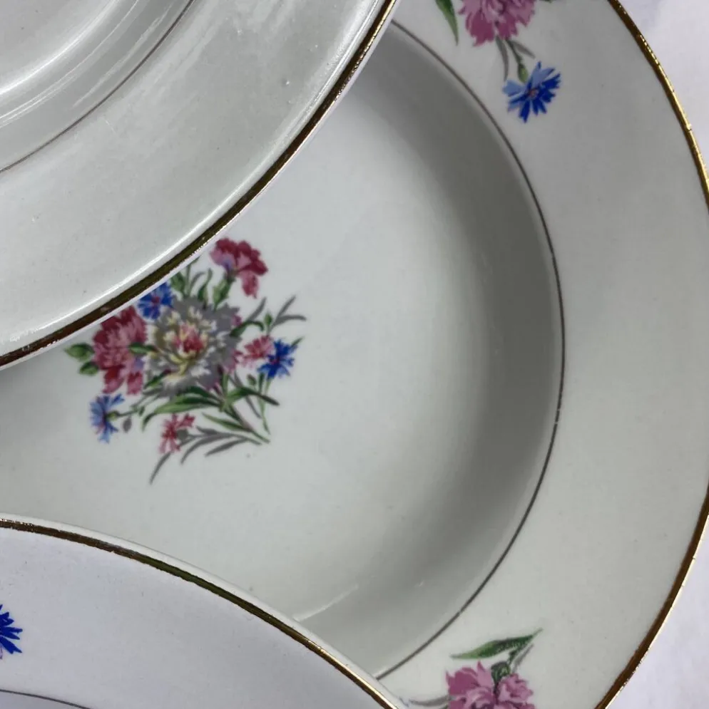 6 assiettes creuses faïence ancienne Sarreguemines modèle Cibon Nice