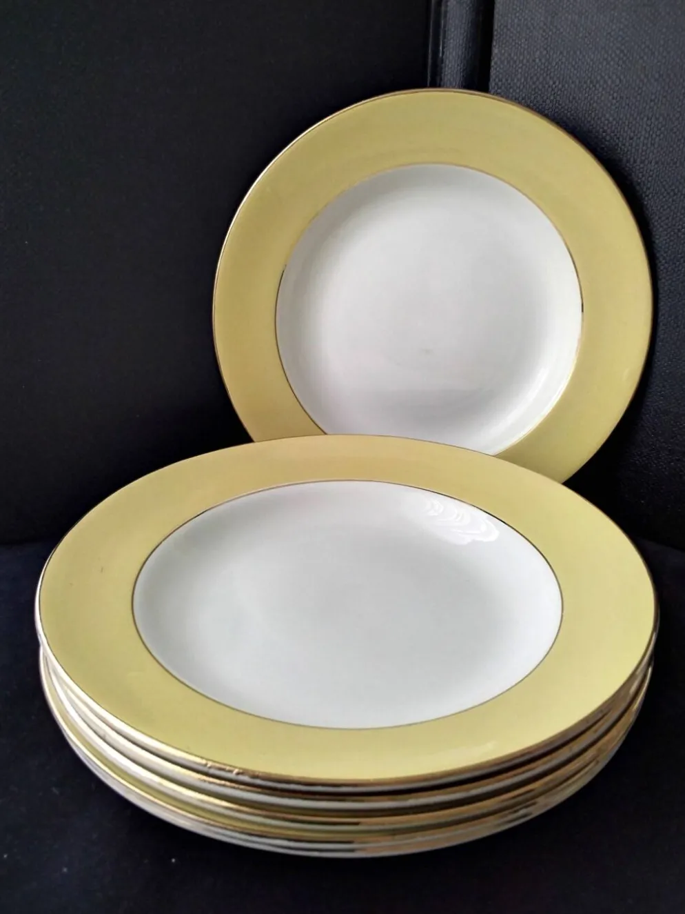 6 Assiettes creuses Faïence de St Amand Modèle 7894
