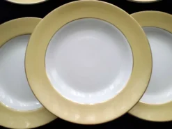 6 Assiettes creuses Faïence de St Amand Modèle 7894