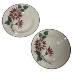 Assiettes creuses florale hbcm