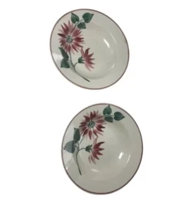 Assiettes creuses florale hbcm