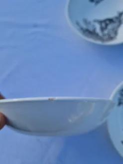 Assiettes Creuses Ou Bols Salins Modèle Pastorale