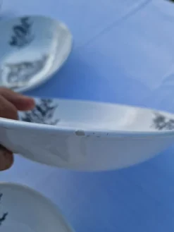 Assiettes Creuses Ou Bols Salins Modèle Pastorale