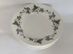 Assiettes creuses porcelaine Royal China Vigo