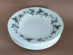 Assiettes creuses porcelaine Royal China Vigo