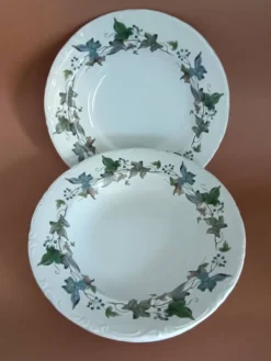 Assiettes creuses porcelaine Royal China Vigo
