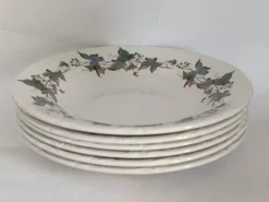 Assiettes creuses porcelaine Royal China Vigo