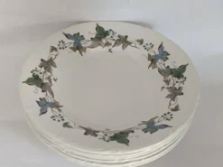 Assiettes creuses porcelaine Royal China Vigo