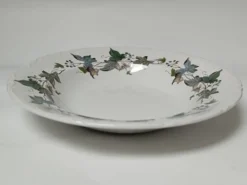 Assiettes creuses porcelaine Royal China Vigo