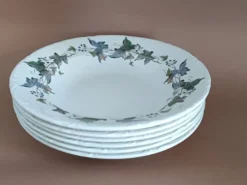 Assiettes creuses porcelaine Royal China Vigo