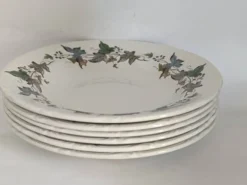 Assiettes creuses porcelaine Royal China Vigo