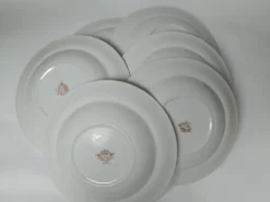 Assiettes creuses porcelaine Royal China Vigo