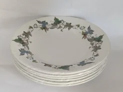Assiettes creuses porcelaine Royal China Vigo
