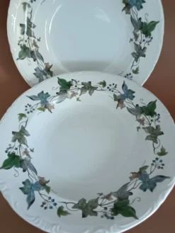 Assiettes creuses porcelaine Royal China Vigo