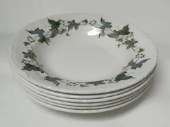 Assiettes creuses porcelaine Royal China Vigo