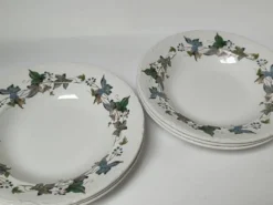 Assiettes creuses porcelaine Royal China Vigo