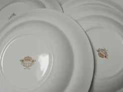Assiettes creuses porcelaine Royal China Vigo