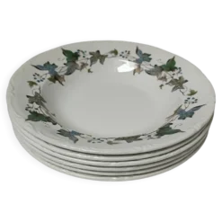 Assiettes creuses porcelaine Royal China Vigo