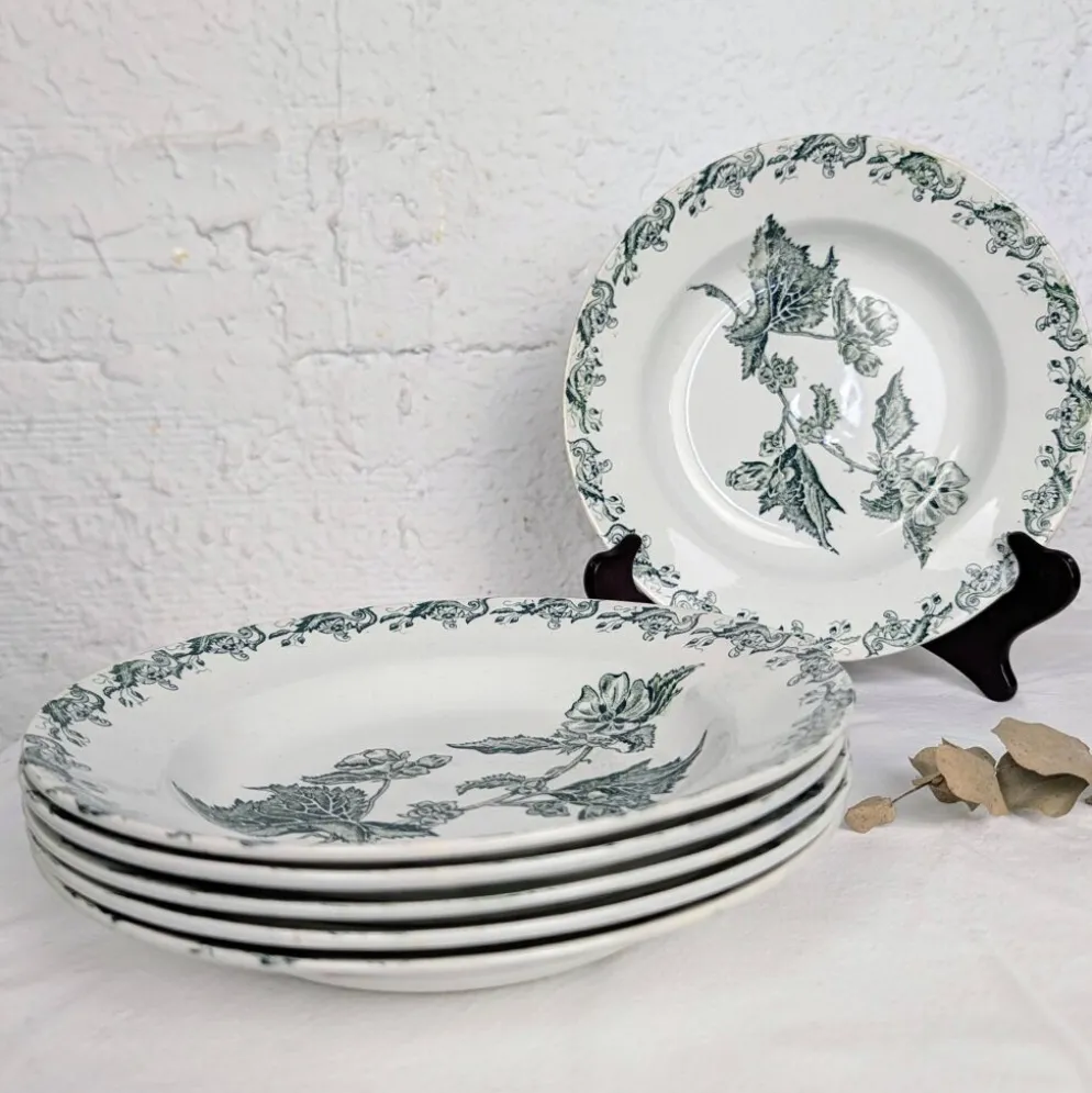6 assiettes creuses Richelieu - Saint-Amand