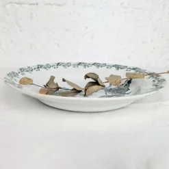 6 assiettes creuses Richelieu - Saint-Amand