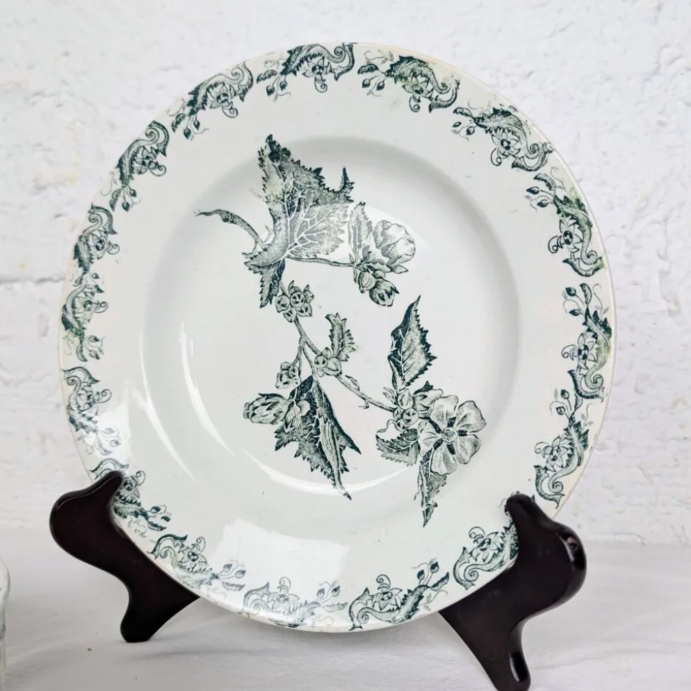 6 assiettes creuses Richelieu - Saint-Amand