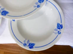 5 assiettes creuses Roselys modèle vigne 211251