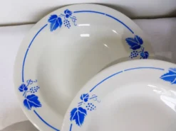 5 assiettes creuses Roselys modèle vigne 211251