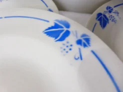 5 assiettes creuses Roselys modèle vigne 211251