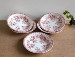 5 assiettes creuses Sarreguemines