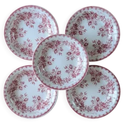 5 assiettes creuses Sarreguemines