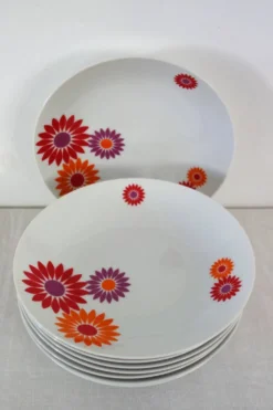 8 Assiettes Creuses Seltmann Weiden West Germany 70's