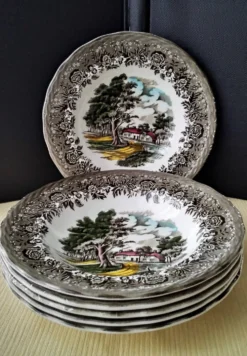 6 Assiettes creuses Staffordshire Modèle Country Style