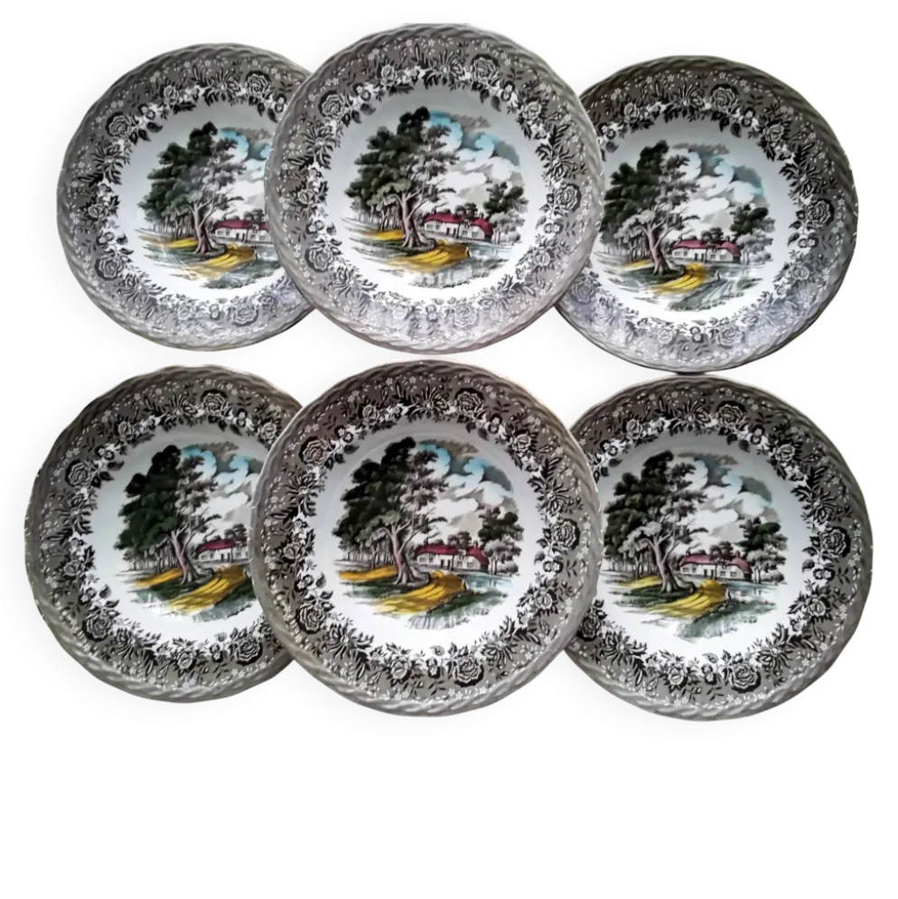 6 Assiettes creuses Staffordshire Modèle Country Style