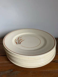 10 assiettes à dessert