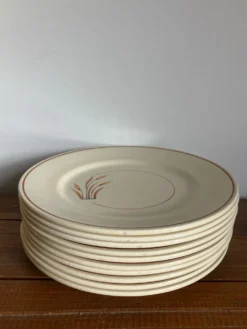 10 assiettes à dessert