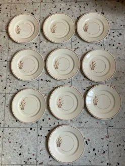 10 assiettes à dessert