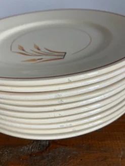 10 assiettes à dessert