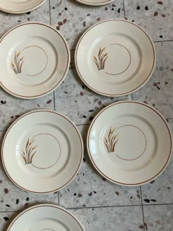 10 assiettes à dessert